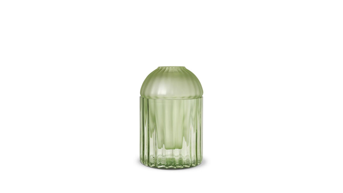 auravibe | Vase seeds - image 1
