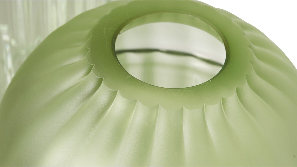 auravibe | Vase seeds - image 2