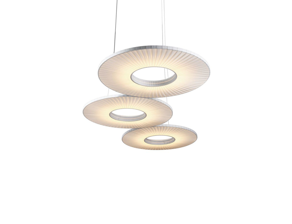 cactus | Suspension - image 3