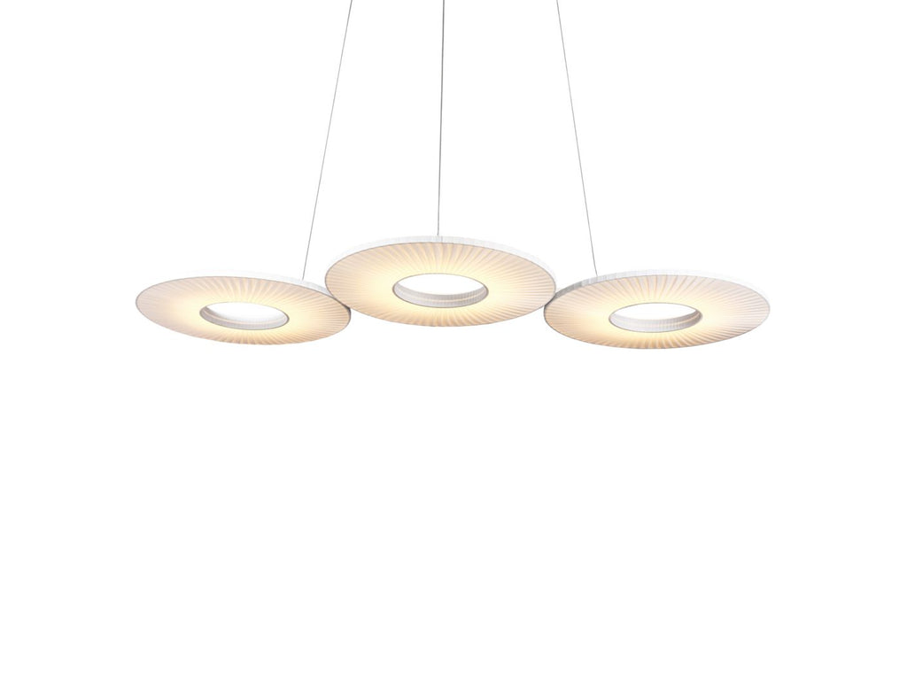 cactus | Suspension - image 2