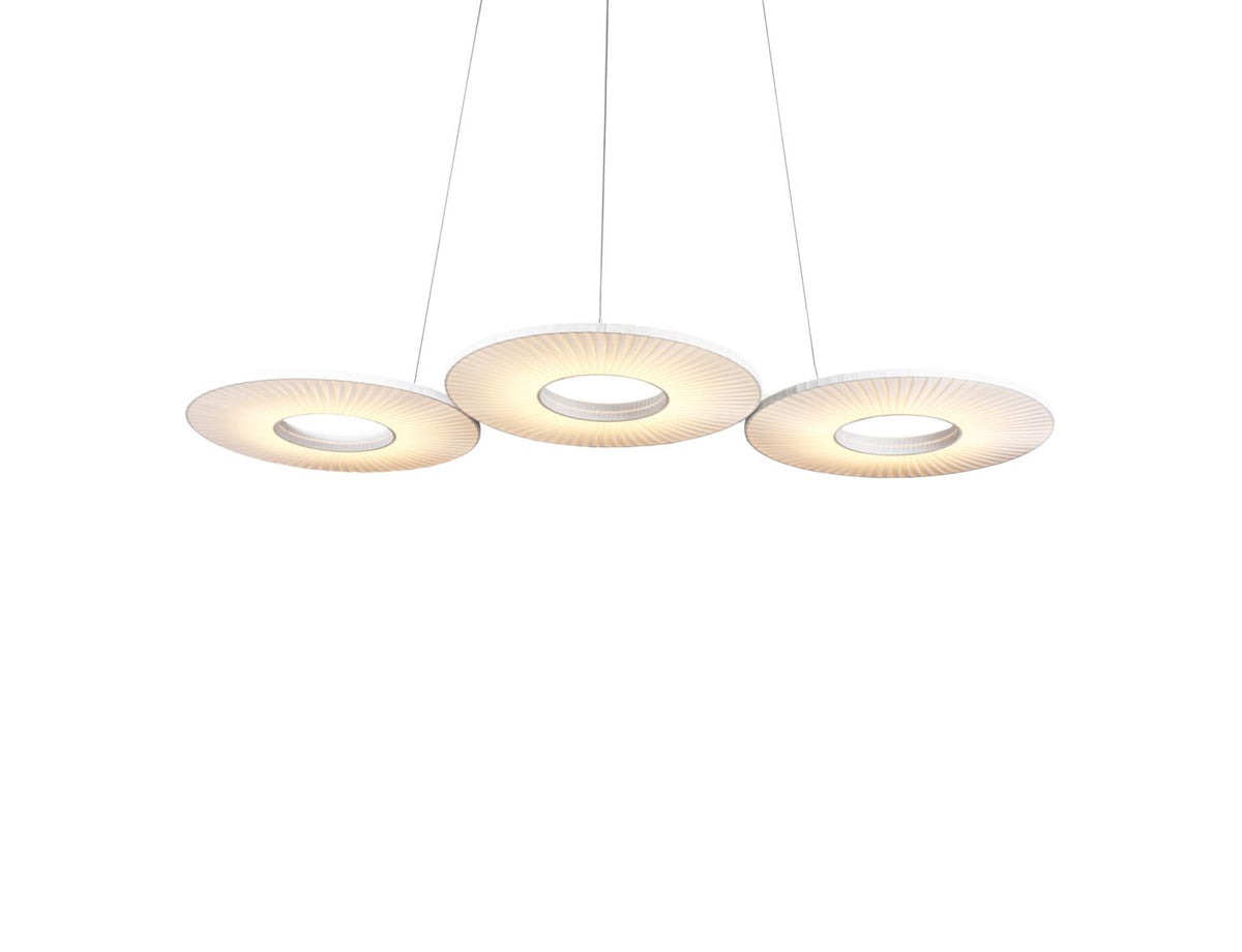 cactus | Suspension - image 2